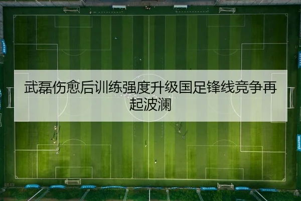 武磊伤愈后训练强度升级国足锋线竞争再起波澜